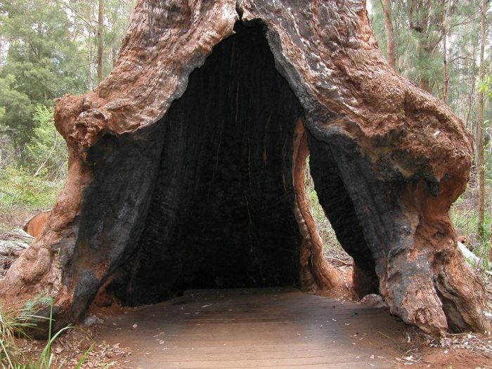 6 Day Esperance & South Western Australia Accommodated Tour - Image 10