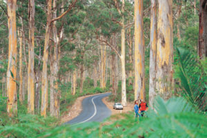 south western australia