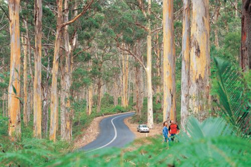 south western australia
