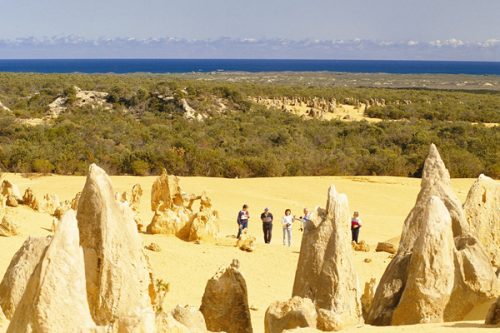Pinnacles 4WD Adventure - Koalas and Sand Boarding day tour