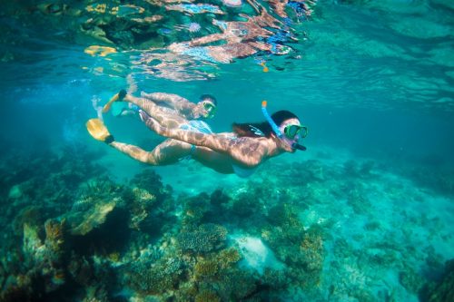 Snorkel the Ningaloo Reef