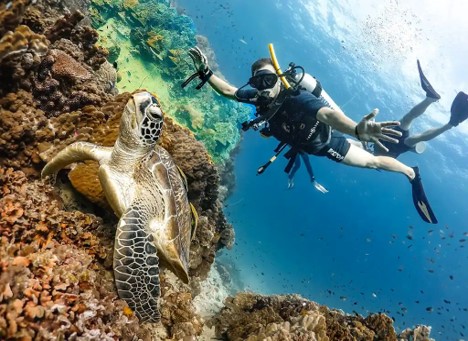 Scuba Diving